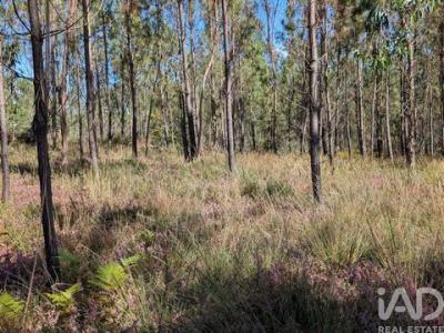 Acheter Terrain Barcelos r�gion BRAGA