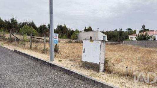 Acheter Terrain 450 m2 Chamusca