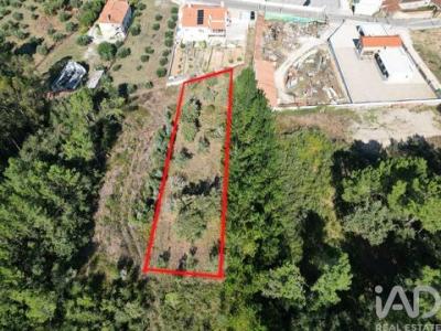 Annonce Vente Terrain Porto-de-mos
