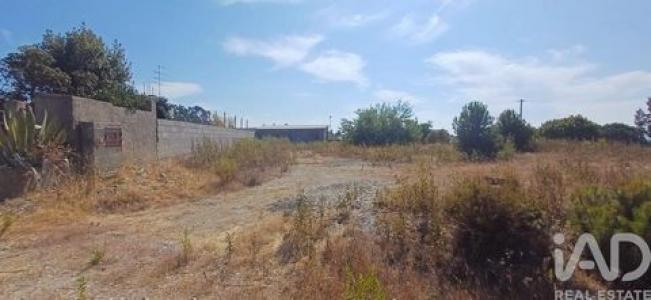 Acheter Terrain Castelo-branco r�gion BRAGANCA