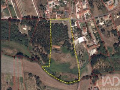 Vente Local industriel Rio-maior RIO-MAIOR 14
