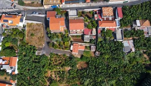 Acheter Terrain 830 m2 Funchal