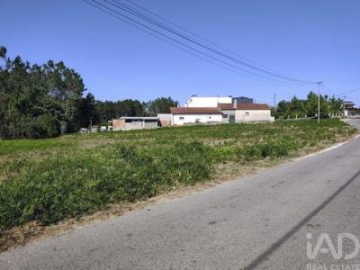 Annonce Vente Terrain Leiria