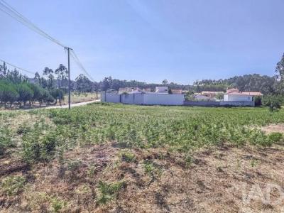 Acheter Terrain Leiria r�gion LEIRIA
