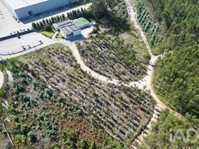 Acheter Terrain 7640 m2 Porto-de-mos
