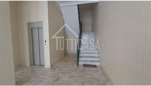 Acheter Local commercial 38 m2 Torres-vedras