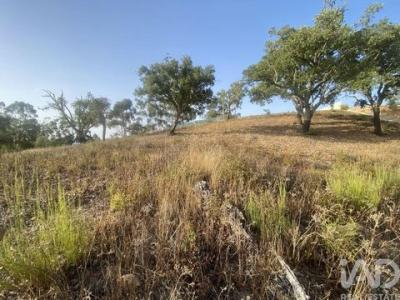 Annonce Vente Terrain Sao-bras-de-alportel