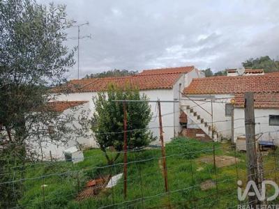 Acheter Local commercial 1604 m2 Evora