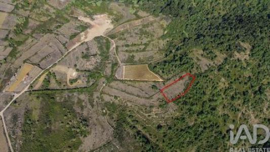Acheter Terrain Mafra r�gion LISBOA