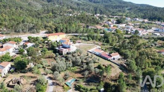 Acheter Terrain Penela r�gion COIMBRA