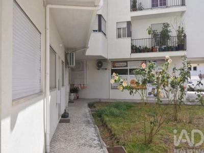 Acheter Appartement 52 m2 Miranda-do-corvo