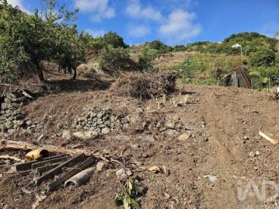 Vente Terrain Machico PORTO-DA-CRUZ 30