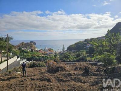 Annonce Vente Terrain Machico