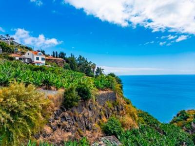 Acheter Terrain 1636 m2 Canhas