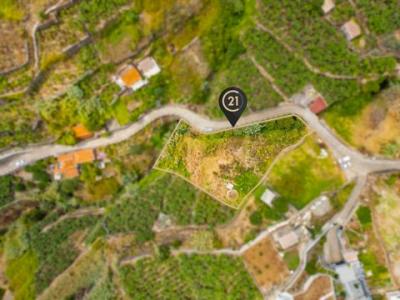 Acheter Terrain Canhas r�gion MADEIRA