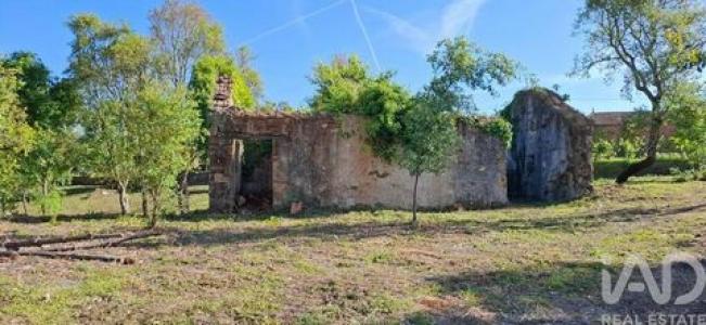 Annonce Vente Maison Pedrogao-grande