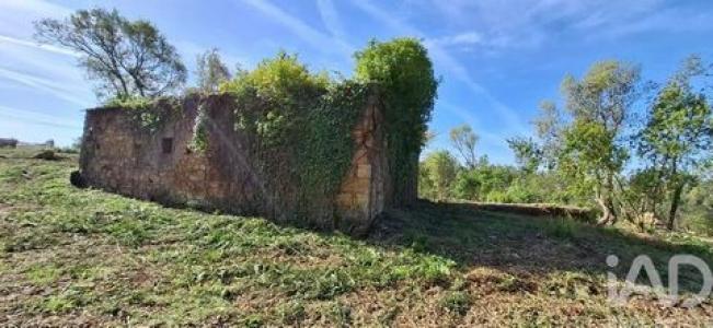 Acheter Maison 281 m2 Pedrogao-grande