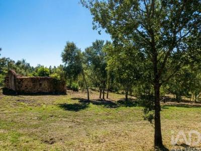 Acheter Maison Pedrogao-grande r�gion LEIRIA