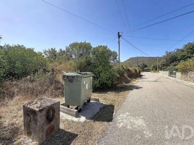 Acheter Terrain 3040 m2 Porto-de-mos