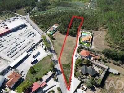 Annonce Vente Terrain Porto-de-mos