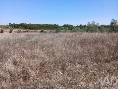 Vente Terrain Alpiarca ALPIARA�A 14