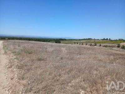 Annonce Vente Terrain Alpiarca