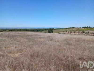 Acheter Terrain Alpiarca r�gion SANTAREM