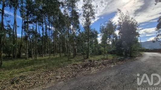Vente Terrain Porto-de-mos PEDREIRAS 10