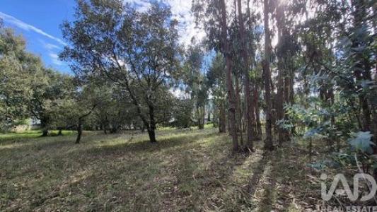 Acheter Terrain Porto-de-mos r�gion LEIRIA