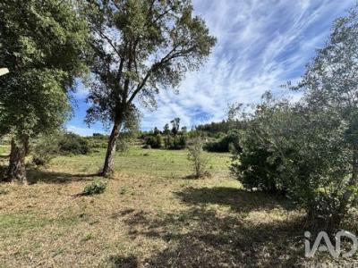Acheter Maison Pedrogao-grande r�gion LEIRIA