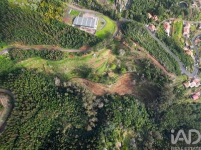 Annonce Vente Maison Funchal
