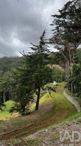 Acheter Maison Funchal r�gion MADEIRA