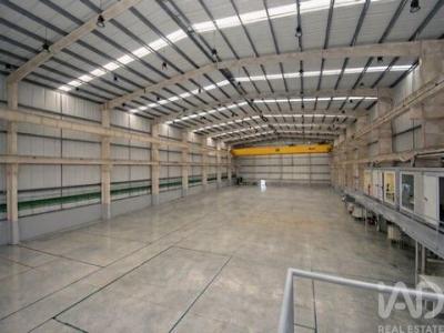 Louer Local industriel 2727 m2 Marinha-grande