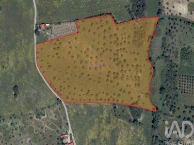 Annonce Vente Terrain Santarem
