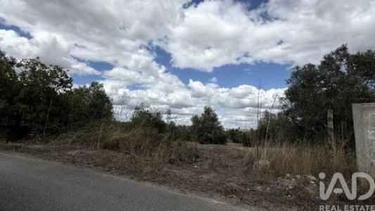 Acheter Terrain Santarem r�gion SANTAREM
