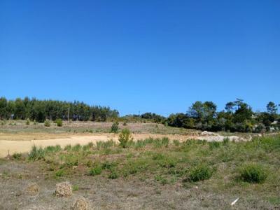 Acheter Terrain 257 m2 Mafra