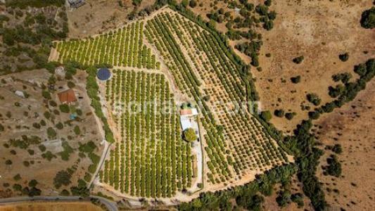 Annonce Vente Maison Silves