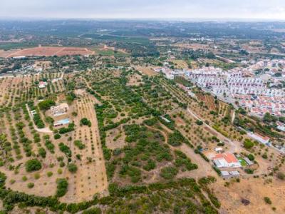 Acheter Terrain 30 m2 Alvor