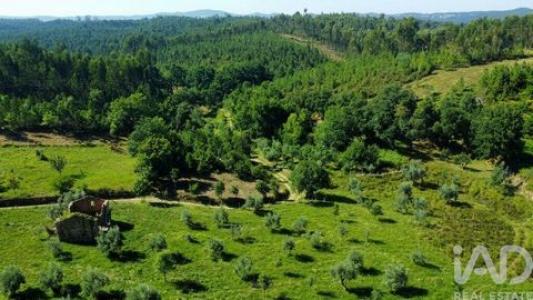 Annonce Vente Maison Pedrogao-grande