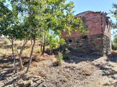 Acheter Maison Pedrogao-grande r�gion LEIRIA
