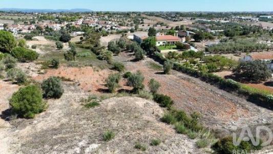 Acheter Terrain 7960 m2 Rio-maior