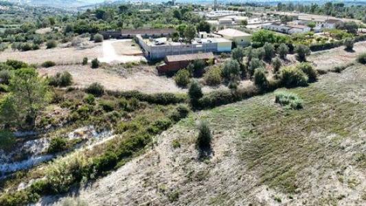 Acheter Terrain Rio-maior r�gion SANTAREM