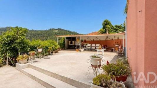 Annonce Vente Maison Sever-do-vouga