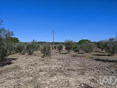 Acheter Maison Coruche r�gion SANTAREM