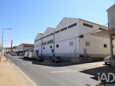 Annonce Vente Local industriel Beja