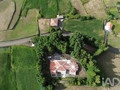 Vente Maison Lajes-do-pico PIEDADE 20