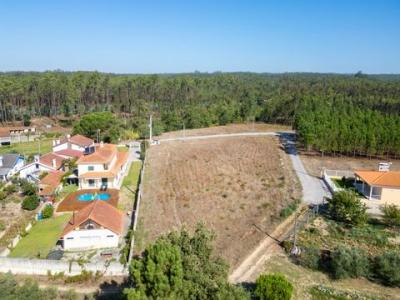 Acheter Terrain Leiria r�gion LEIRIA