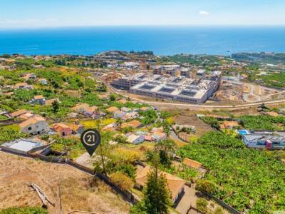 Annonce Vente Terrain Funchal