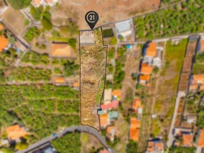 Acheter Terrain 1635 m2 Funchal