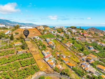 Acheter Terrain Funchal r�gion MADEIRA
